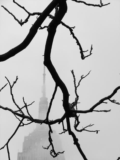 Paysage urbain – Frédéric Bourret